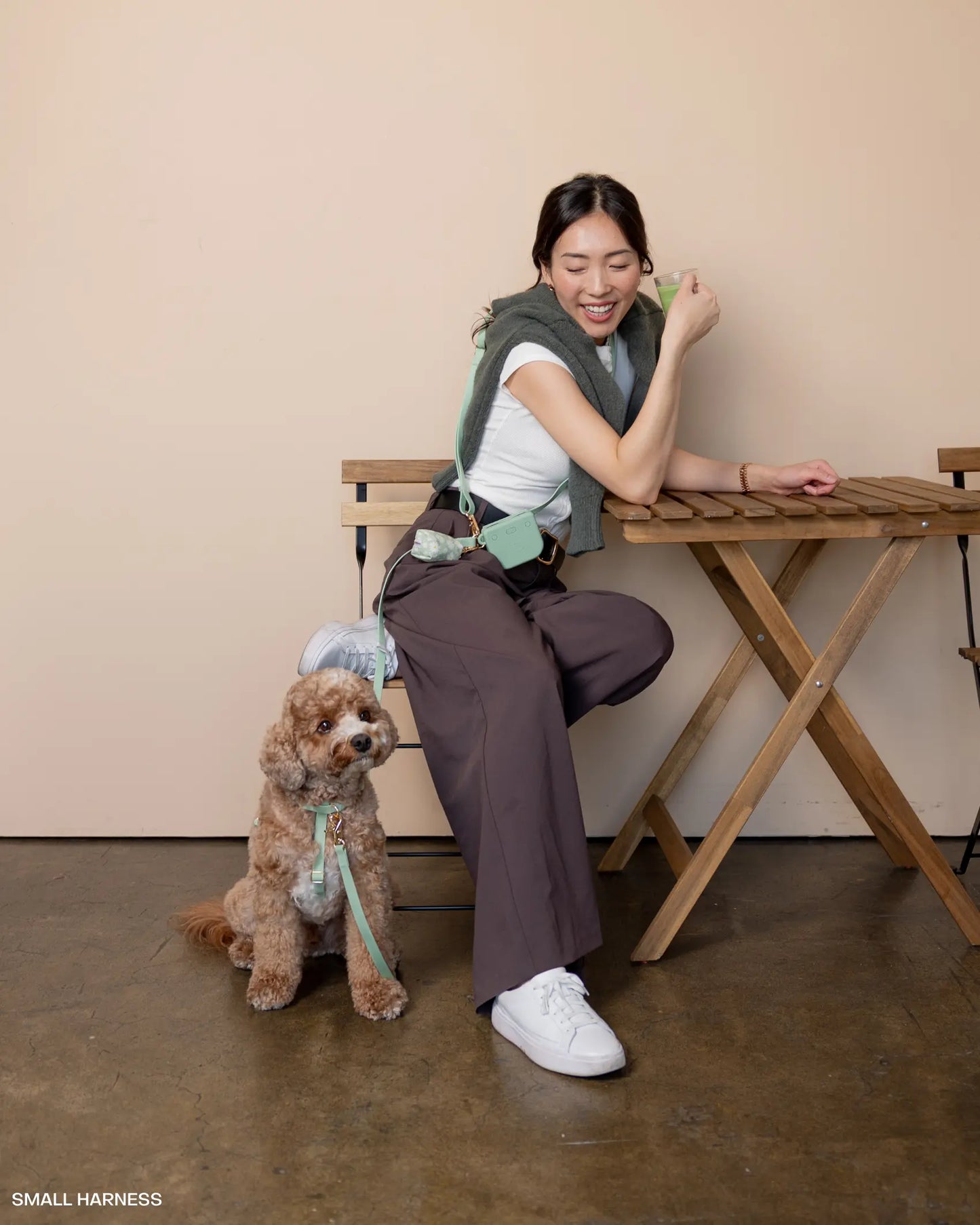 4-in-1 Convertible Hands-Free Cloud Dog Leash, 8.5 Feet Long, Available in 5/8-Inch or 3/4-Inch Width