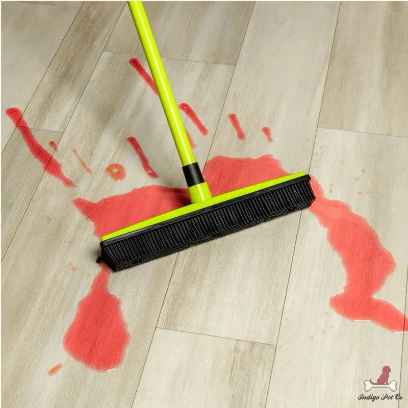 Pet Hair Removal Broom with 5FT Extension