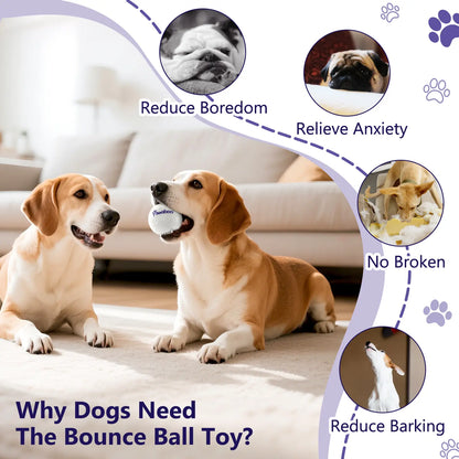 Indestructible Dog Tennis Balls for Aggressive Chewers - Interactive High Bounce Fetch Toys for Large, Medium, Small Dogs and Puppies