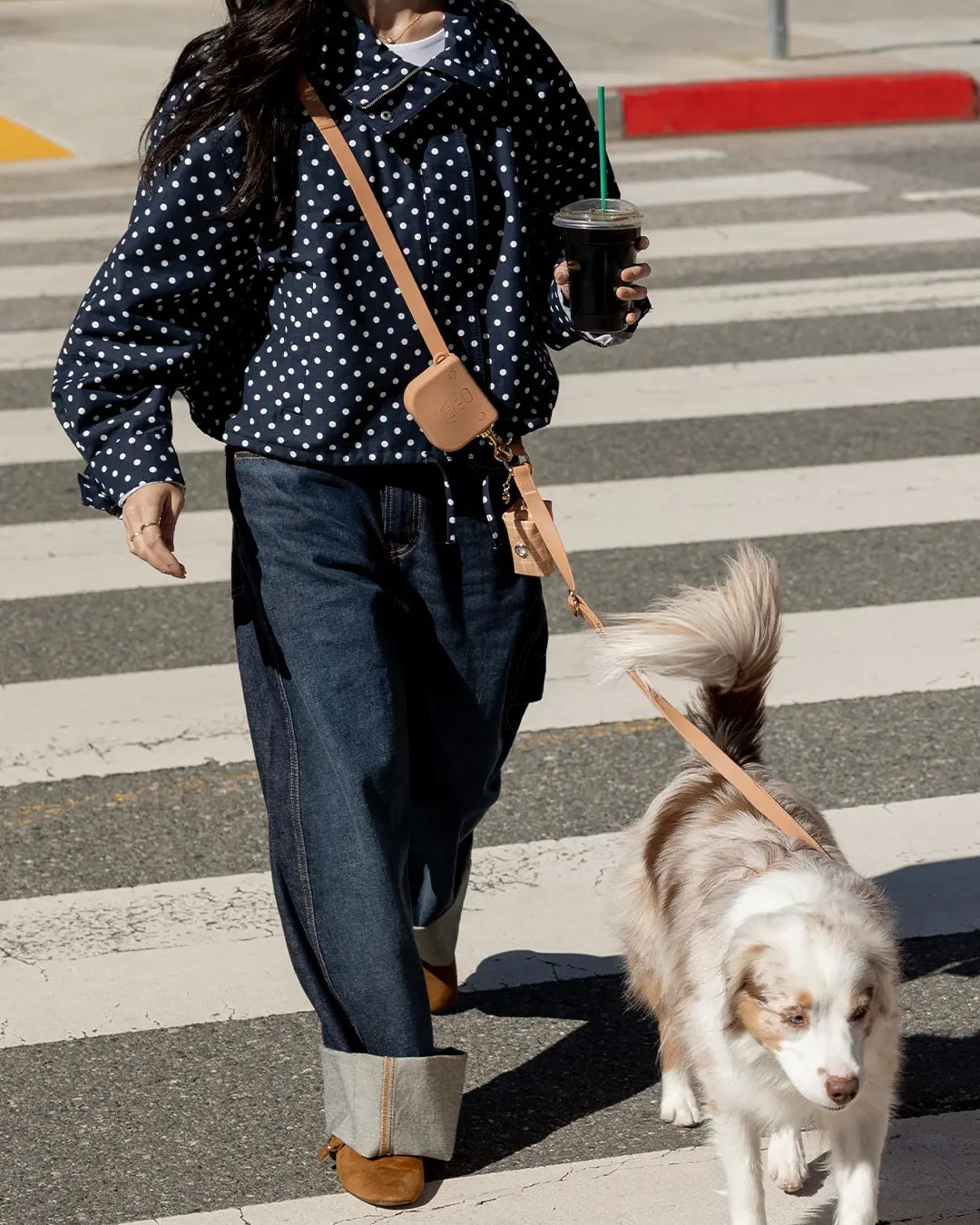 4-in-1 Convertible Hands-Free Cloud Dog Leash, 8.5 Feet Long, Available in 5/8-Inch or 3/4-Inch Width