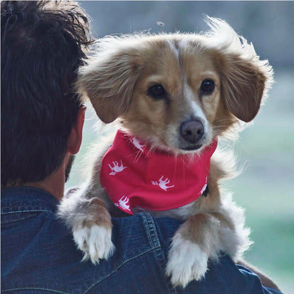 Petlab Co. Dog Bandana - Elegant Pet Scarf | Soft, Comfortable, and Washable Accessory for Dogs