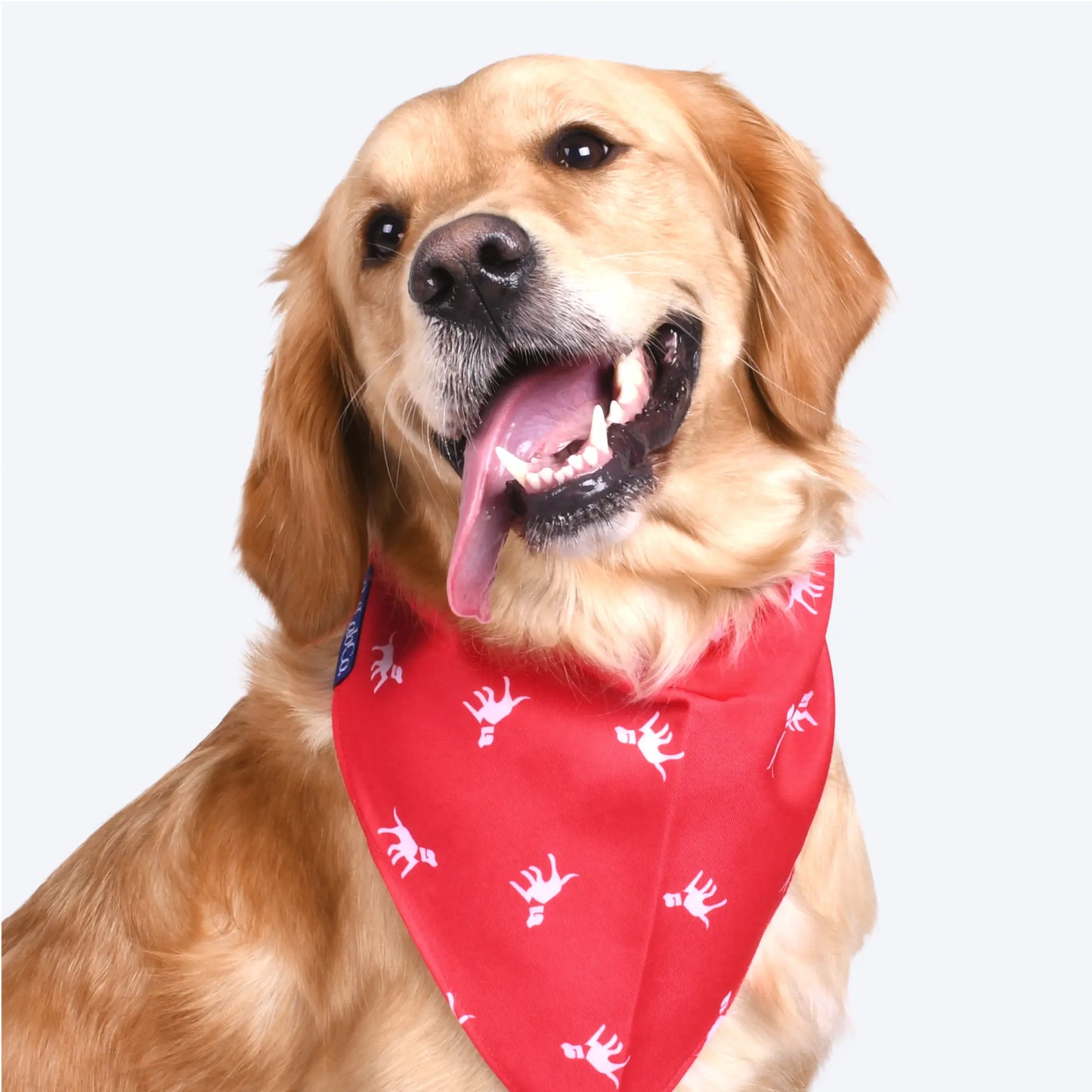 Petlab Co. Dog Bandana - Elegant Pet Scarf | Soft, Comfortable, and Washable Accessory for Dogs