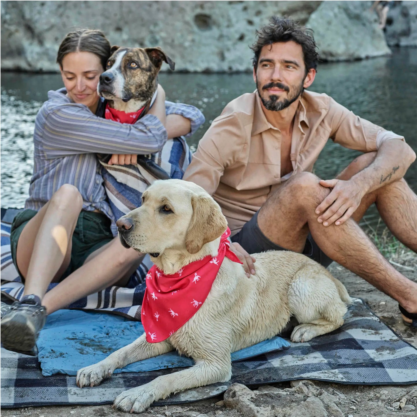 Petlab Co. Dog Bandana - Elegant Pet Scarf | Soft, Comfortable, and Washable Accessory for Dogs
