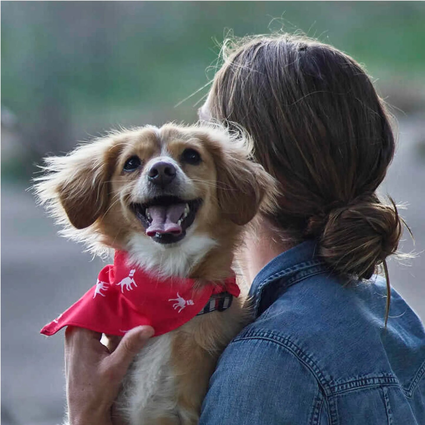 Petlab Co. Dog Bandana - Elegant Pet Scarf | Soft, Comfortable, and Washable Accessory for Dogs