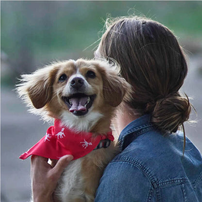 Petlab Co. Dog Bandana - Elegant Pet Scarf | Soft, Comfortable, and Washable Accessory for Dogs