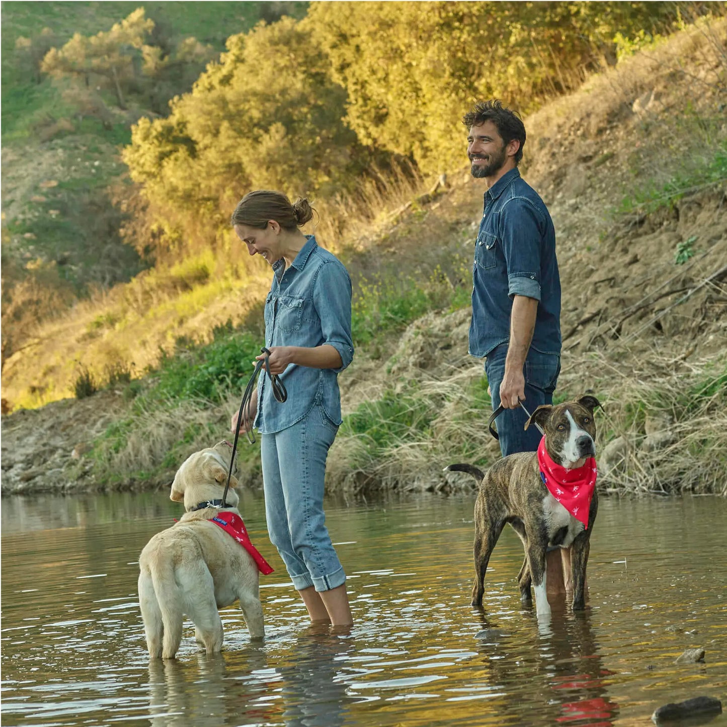 Petlab Co. Dog Bandana - Elegant Pet Scarf | Soft, Comfortable, and Washable Accessory for Dogs