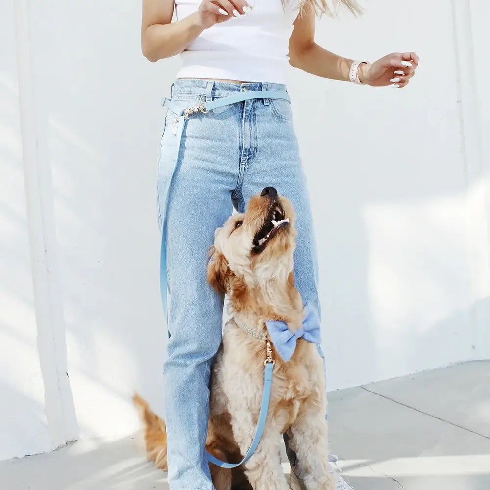 4-in-1 Convertible Hands-Free Cloud Dog Leash, 8.5 Feet Long, Available in 5/8-Inch or 3/4-Inch Width