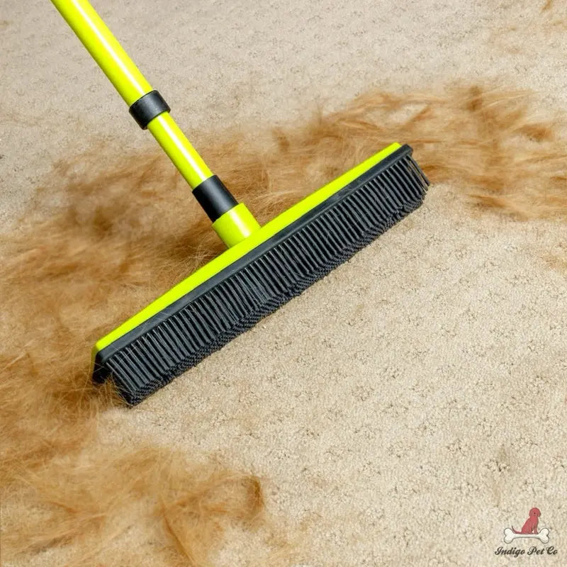Pet Hair Removal Broom with 5FT Extension