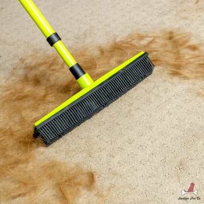 Pet Hair Removal Broom with 5FT Extension