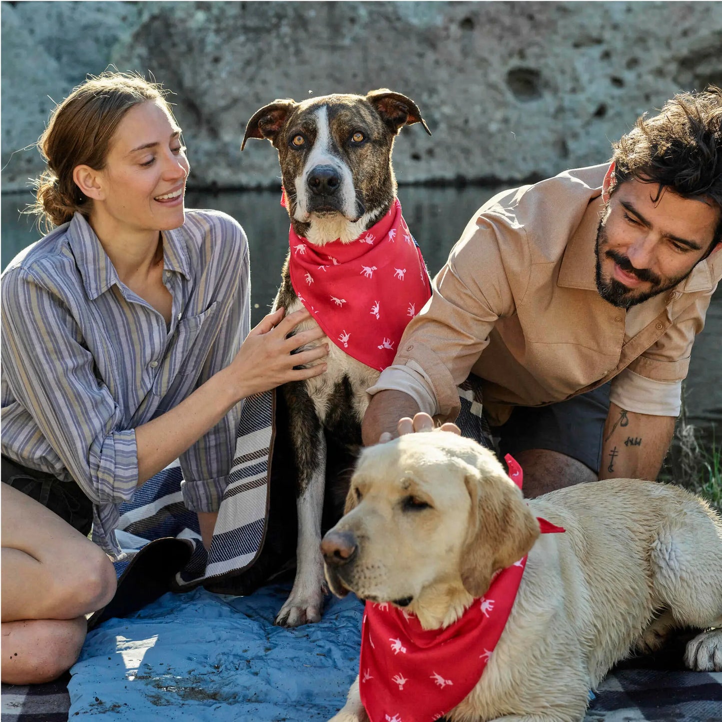 Petlab Co. Dog Bandana - Elegant Pet Scarf | Soft, Comfortable, and Washable Accessory for Dogs