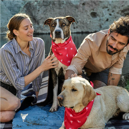 Petlab Co. Dog Bandana - Elegant Pet Scarf | Soft, Comfortable, and Washable Accessory for Dogs