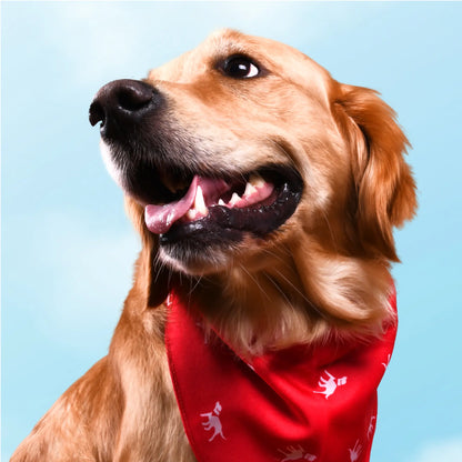 Petlab Co. Dog Bandana - Elegant Pet Scarf | Soft, Comfortable, and Washable Accessory for Dogs