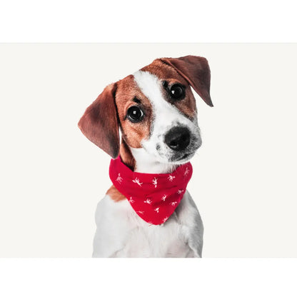 Petlab Co. Dog Bandana - Elegant Pet Scarf | Soft, Comfortable, and Washable Accessory for Dogs