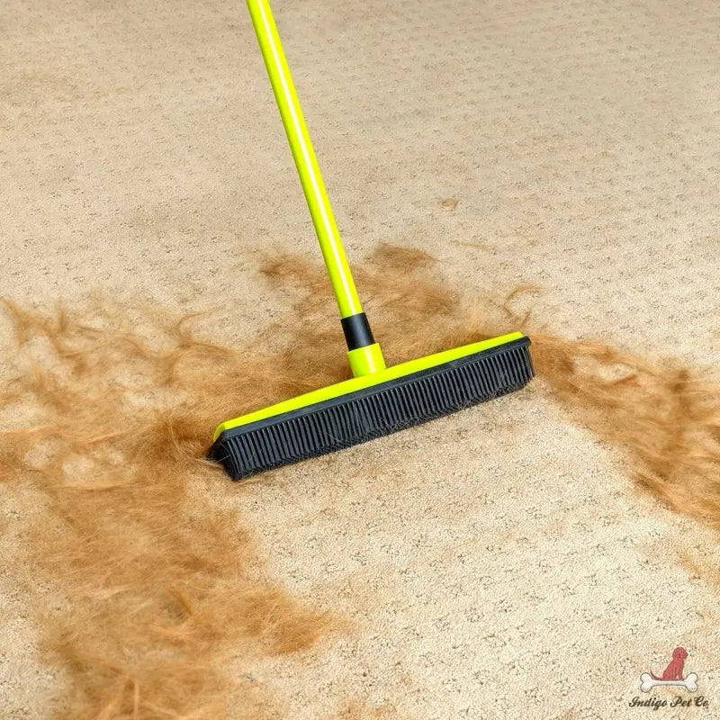 Pet Hair Removal Broom with 5FT Extension