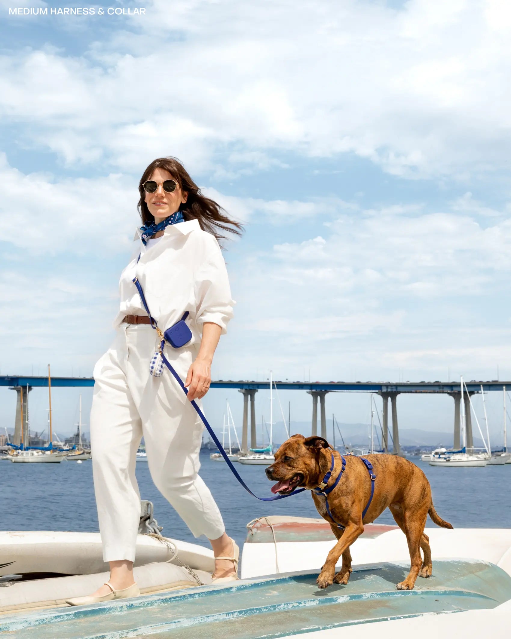 4-in-1 Convertible Hands-Free Cloud Dog Leash, 8.5 Feet Long, Available in 5/8-Inch or 3/4-Inch Width